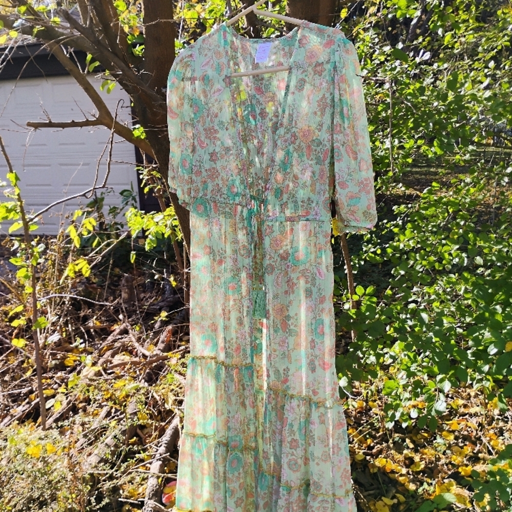 Sheer maxi coverup